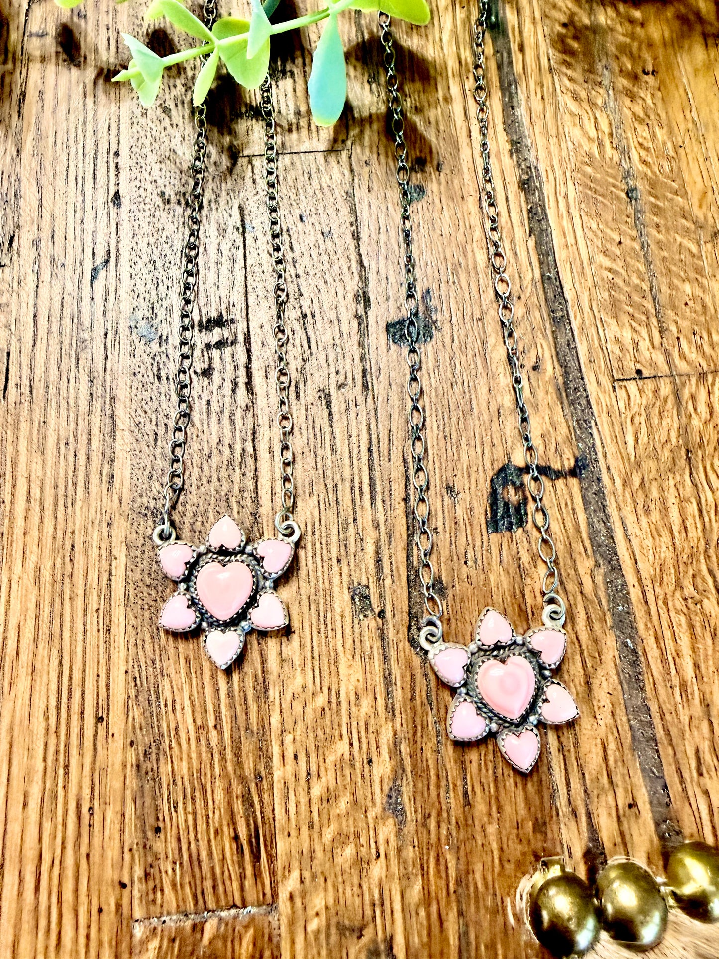 Conch Hearts Collection