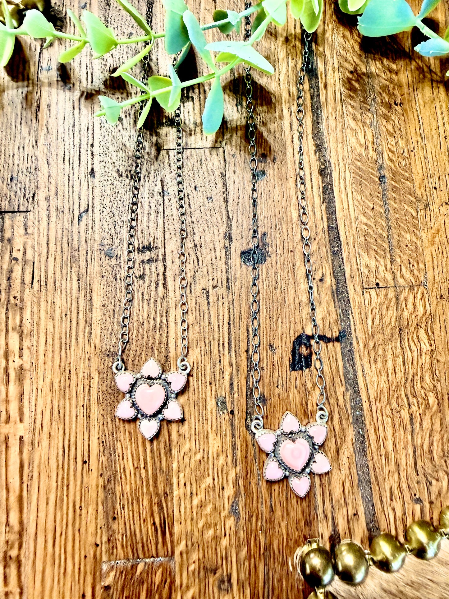 Conch Hearts Collection