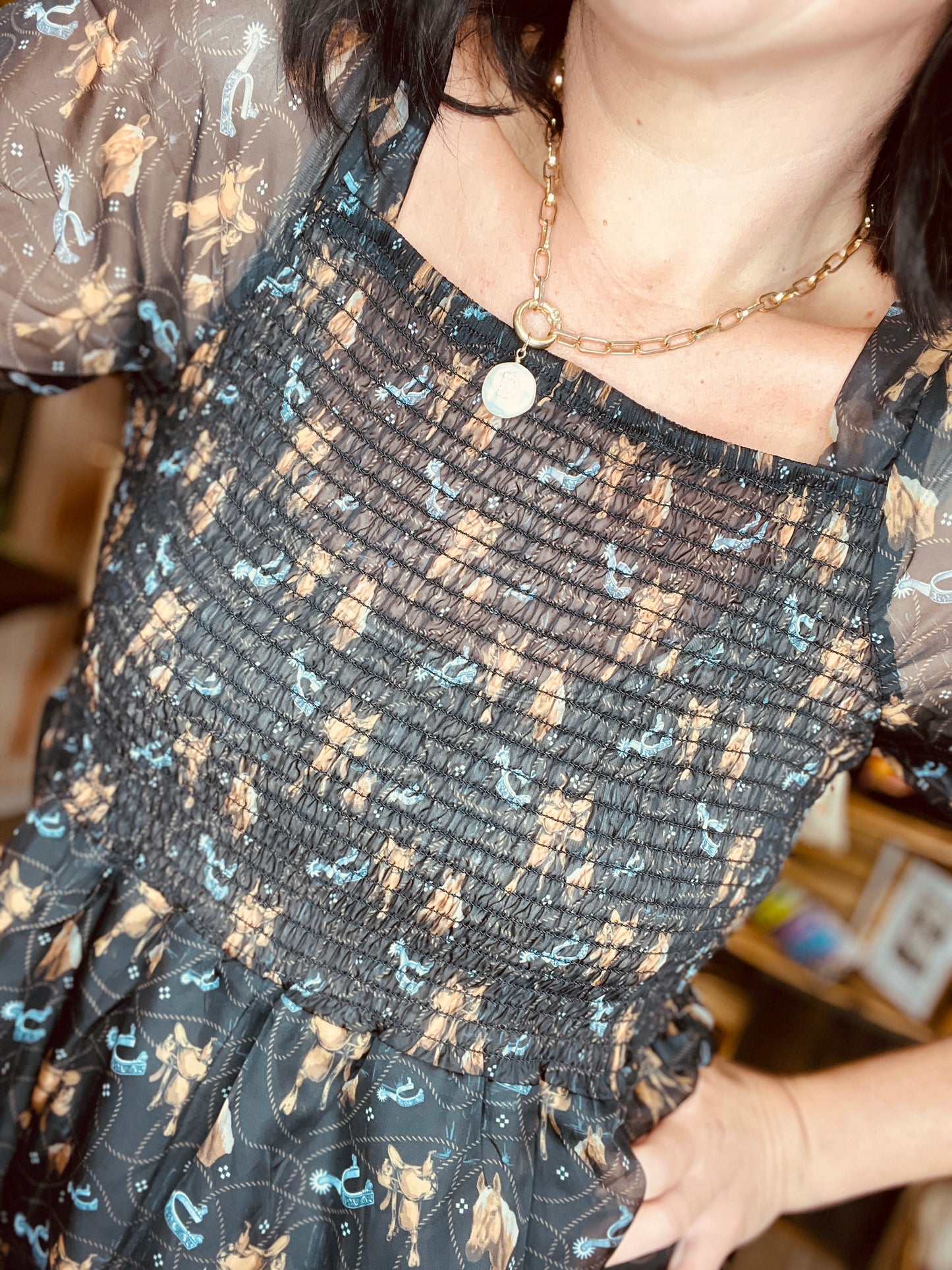 Frilly Filly Western Smocked Dress