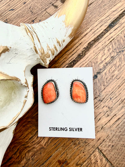 Assorted Native Made Earrings