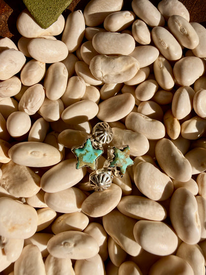 Be a STAR Bypass Rings