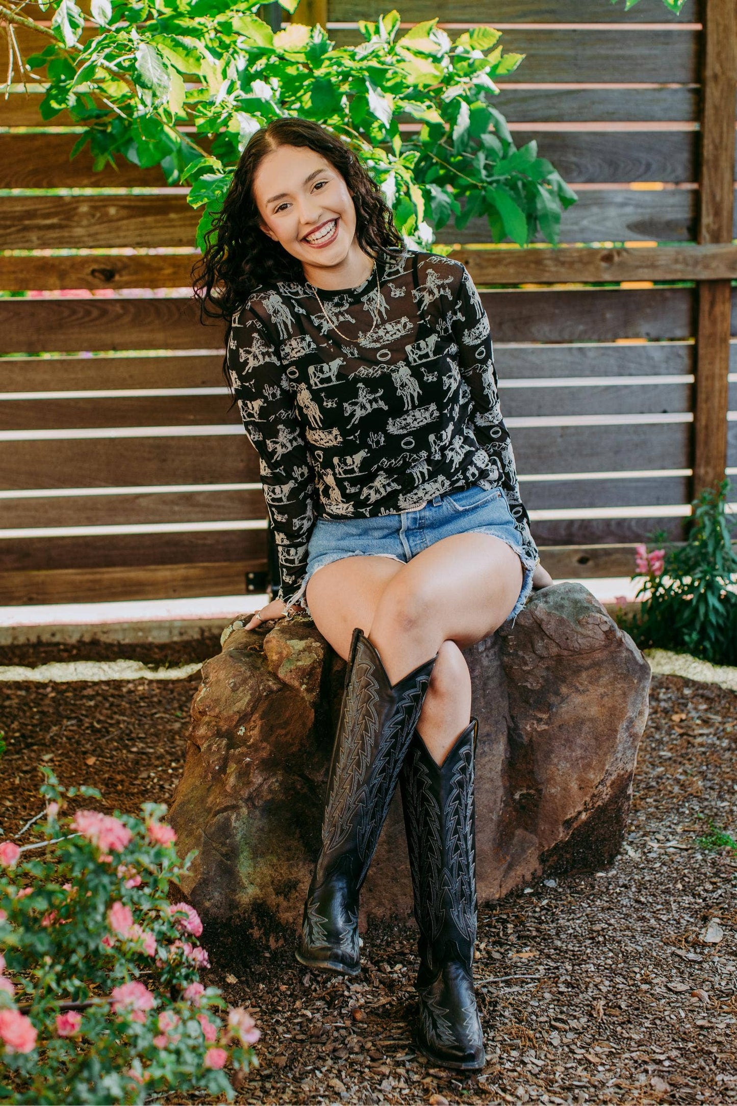 Western Scene Mesh Top