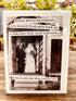 Gypsy Fun Cards Collection - Roaming Gypsy Boutique
